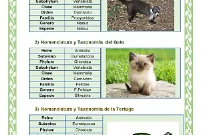 Arma el rompecabezas