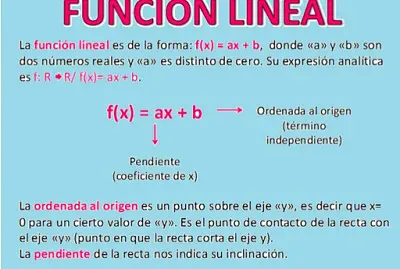 explicacion funcion lineal jigsaw puzzle