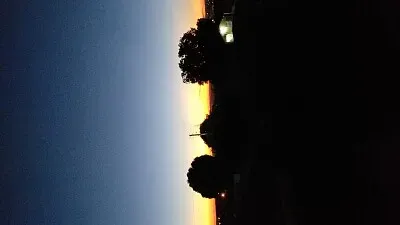 Irisdalva Gomes Carvalho