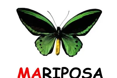 Mariposa