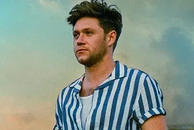 Niall horan jigsaw puzzle