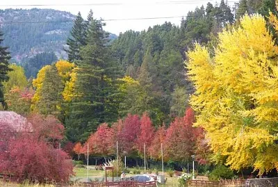 פאזל של paisaje