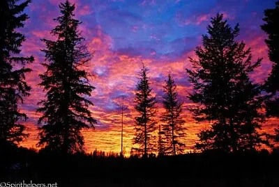 ouça mamacita diluvio