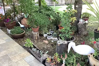 ציפור אבן בגינה jigsaw puzzle