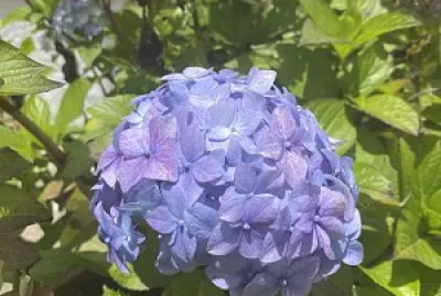 Naturaleza y Ciudad - Antejardines Tunja