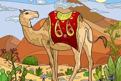 פאזל של COLORIDO