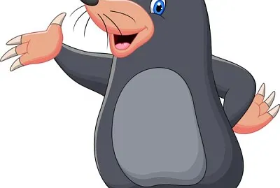 Ricomponiamo la talpa!