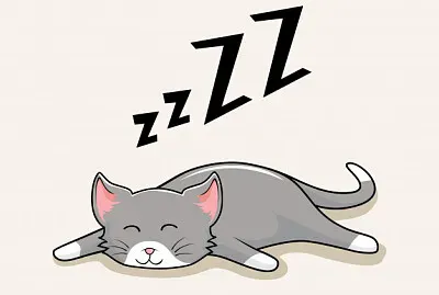 infaftil jigsaw puzzle