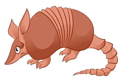 פאזל של Armadillo