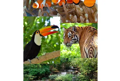 Natureza