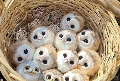 CENÁRIO K608 jigsaw puzzle