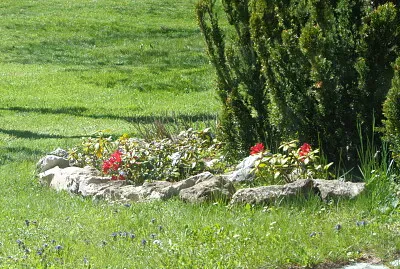 Chaumont nouveautée