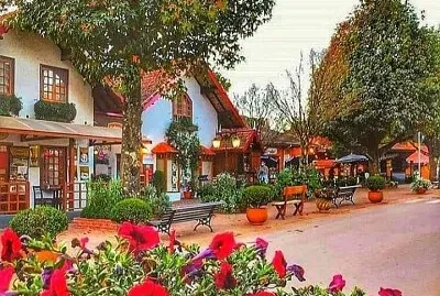 Minas Gerais-Brasil jigsaw puzzle