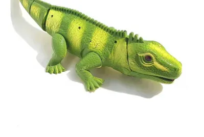 IGUANA