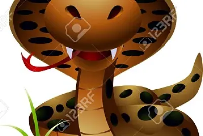 NAJA (COBRA) jigsaw puzzle