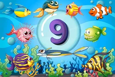 Número 9