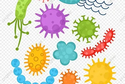 פאזל של MICROORGANISMOS