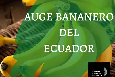 auje bananero