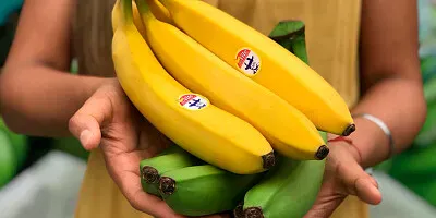 Boom bananero