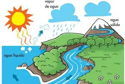 Ciências jigsaw puzzle