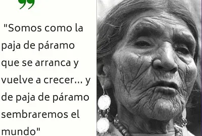 DOLORES CACUANGO