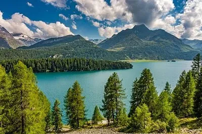 Foto jigsaw puzzle