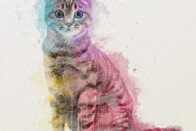 פאזל של carbone