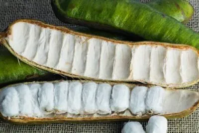 frutas regionais jigsaw puzzle