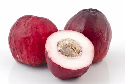 frutasregionais jigsaw puzzle