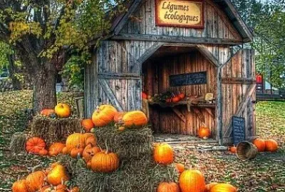 dia das bruxas jigsaw puzzle