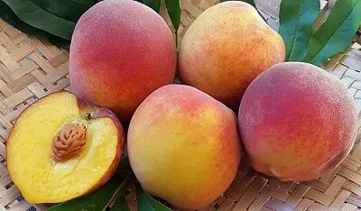 פאזל של Foto