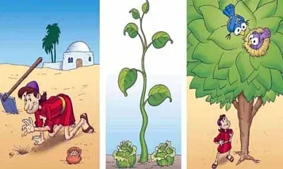 parabola jigsaw puzzle