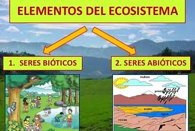 BIOLOGIA jigsaw puzzle