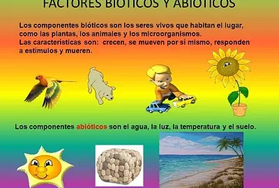 abiotico