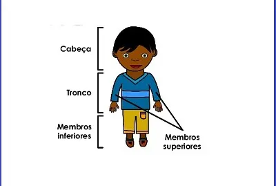 Corpo Humano e suas partes