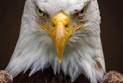 פאזל של CENÁRIO K640