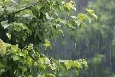 lluvia jigsaw puzzle