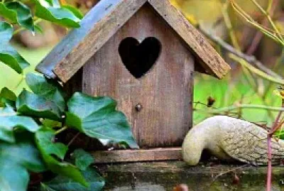 pajarera jigsaw puzzle