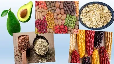 Alimentos jigsaw puzzle