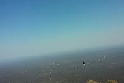 פאזל של PASEOS