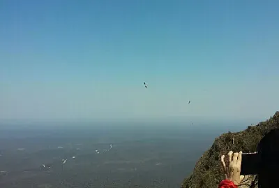 פאזל של PASEOS