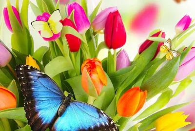פאזל של Mariposas y flores