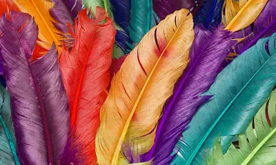 Plumas jigsaw puzzle