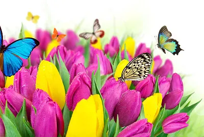 פאזל של Mariposas y flores