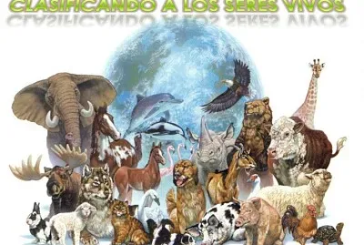 taxonomia