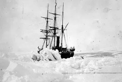 Quebra cabeça jigsaw puzzle