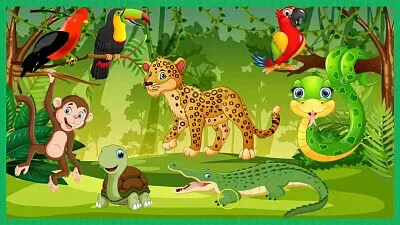 פאזל של Selva Peruana