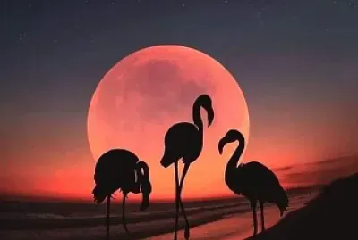 Serenidad jigsaw puzzle