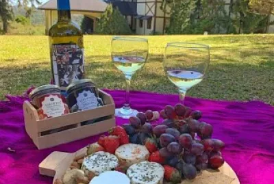 CENÁRIO K647 jigsaw puzzle