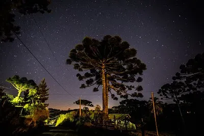 פאזל של imagem